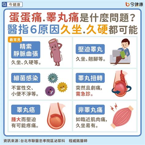 蛋蛋長肉芽|睪丸痛4大原因！蛋蛋痛只痛左邊、血管浮出恐造成不。